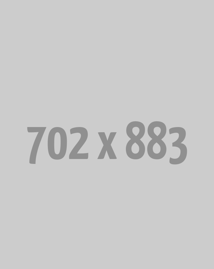 Custom Website Development